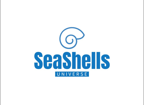 SeaShells universe